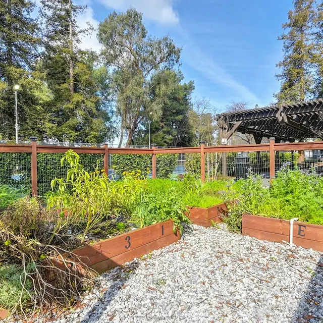 A community garden featuring raised planter beds filled with various herbs and plants, surrounded by a fence, in a sunny outdoor setting.