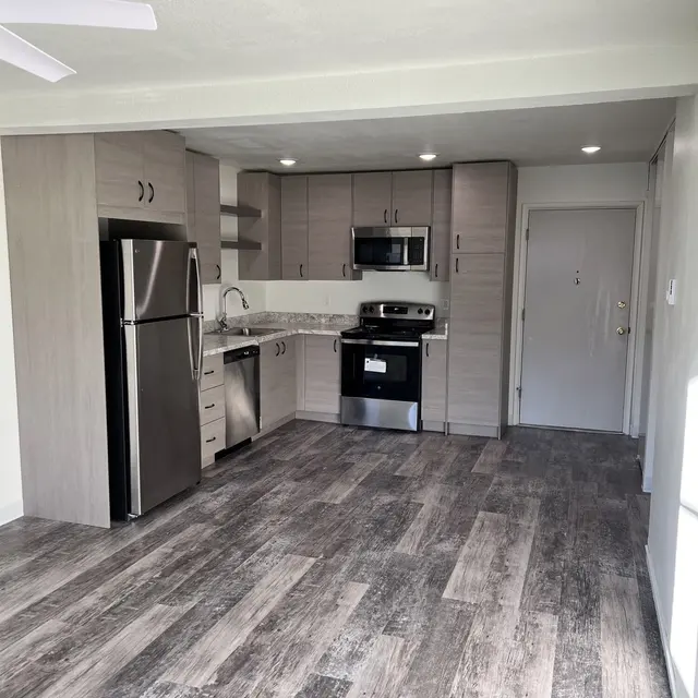 Kitchen in a modern apartment, featuring sleek countertops, stainless steel appliances, and ample cabinet space.