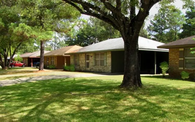 Brown Park - Building, Plant, Yard