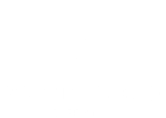 Waterleaf at Old Franklin