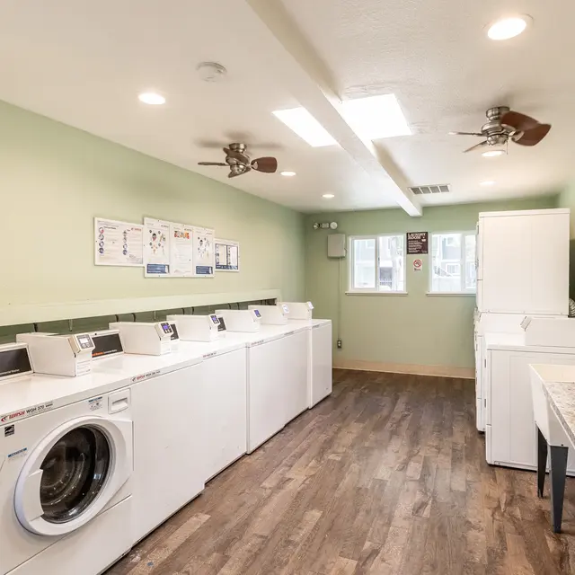 Peachwood Apartments - Appliance, Device, Electrical Device