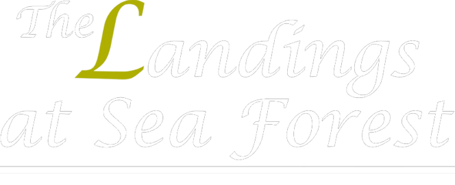 Landings at Sea Forest