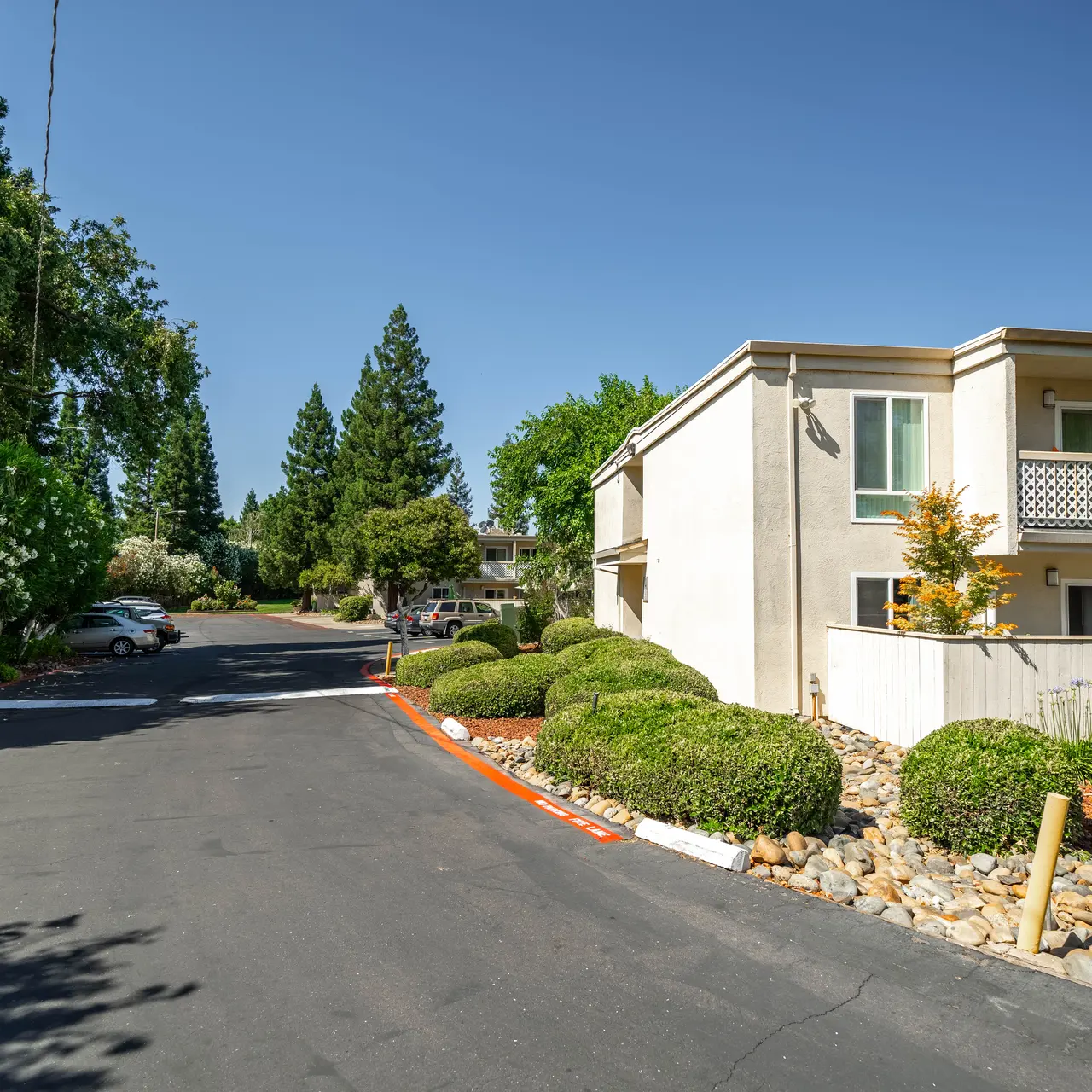 Del Dayo - City, Neighborhood, Road