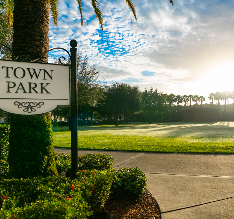 The Flats at Avalon Park - Lawn