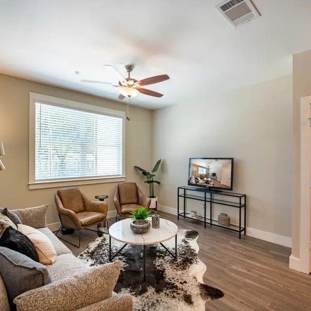 Avenue M Avenue M - Room, Couch