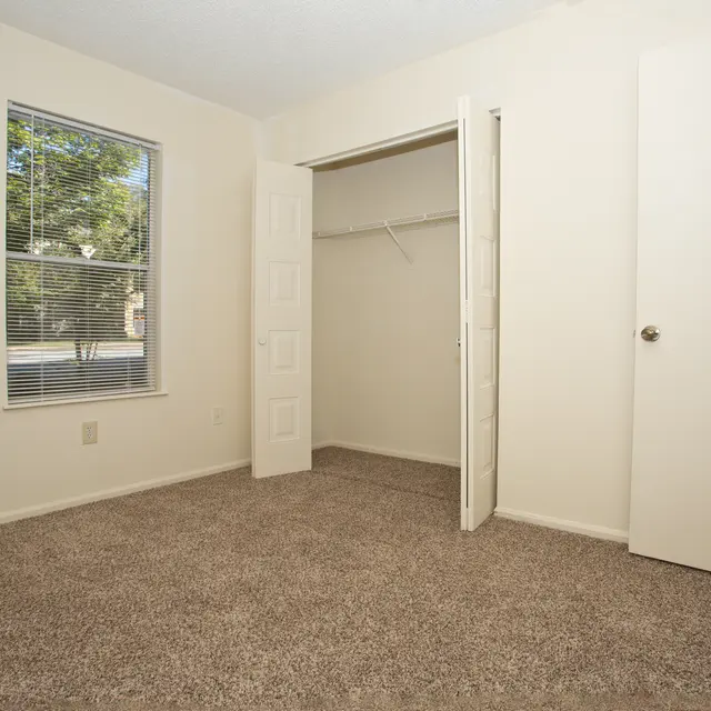 Tree Tops - Corner, Floor, Flooring