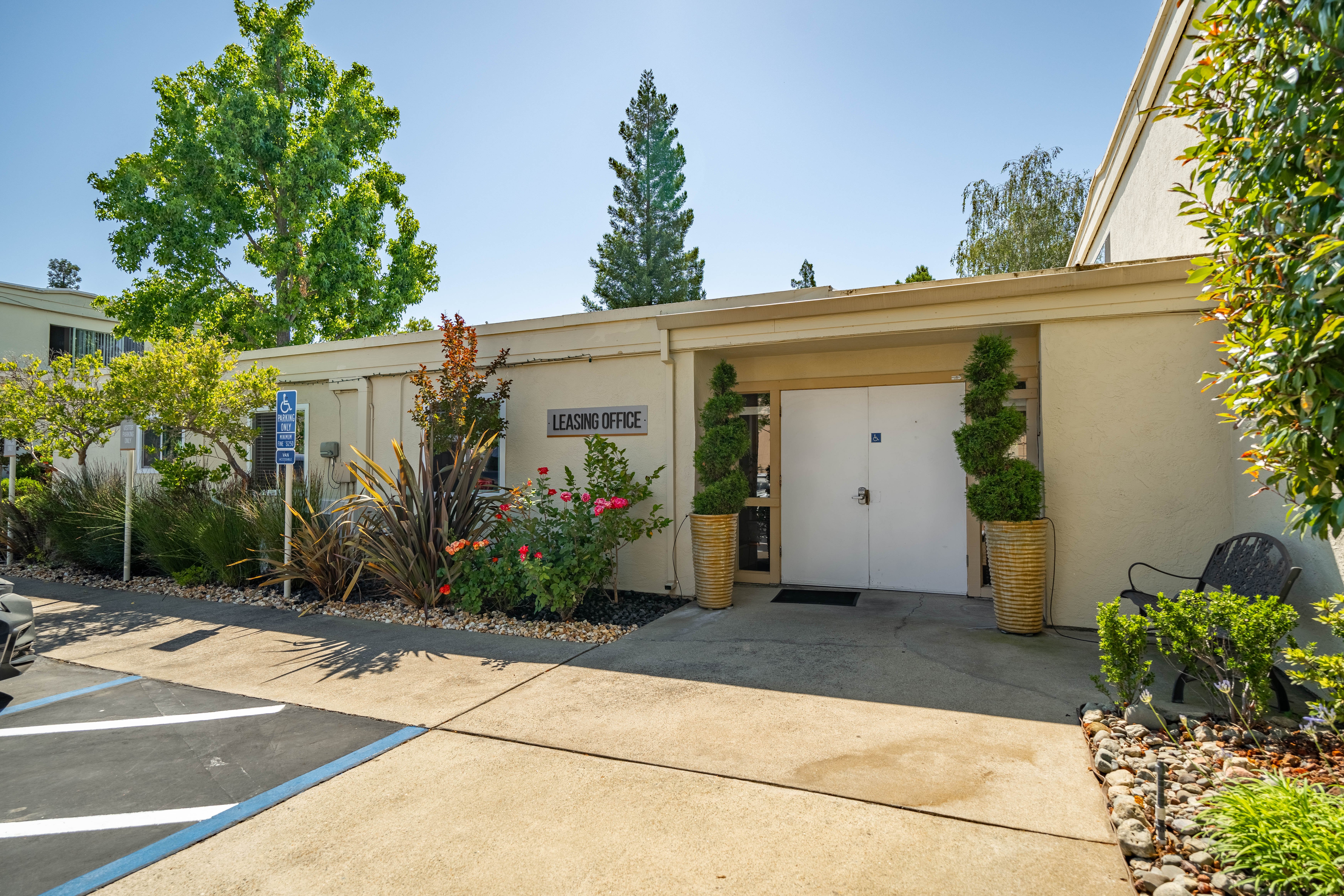 Del Dayo - Plant, Tree, Potted Plant