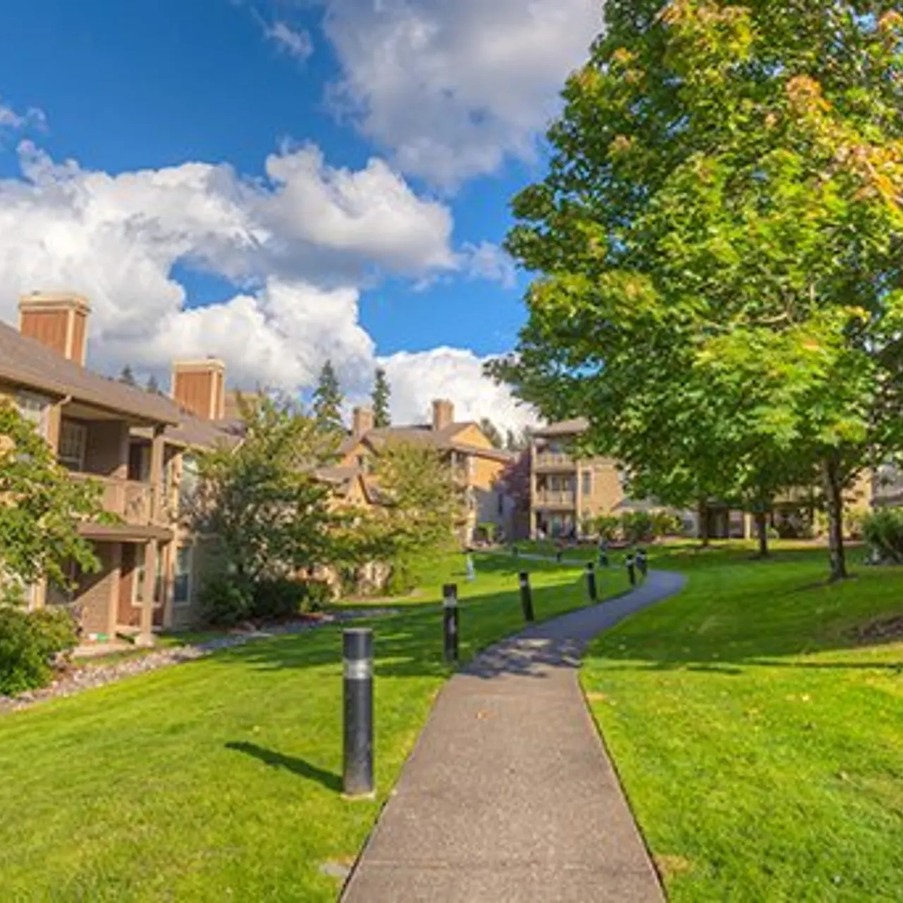 Summerwalk at Klahanie - Path, Tree, Yard