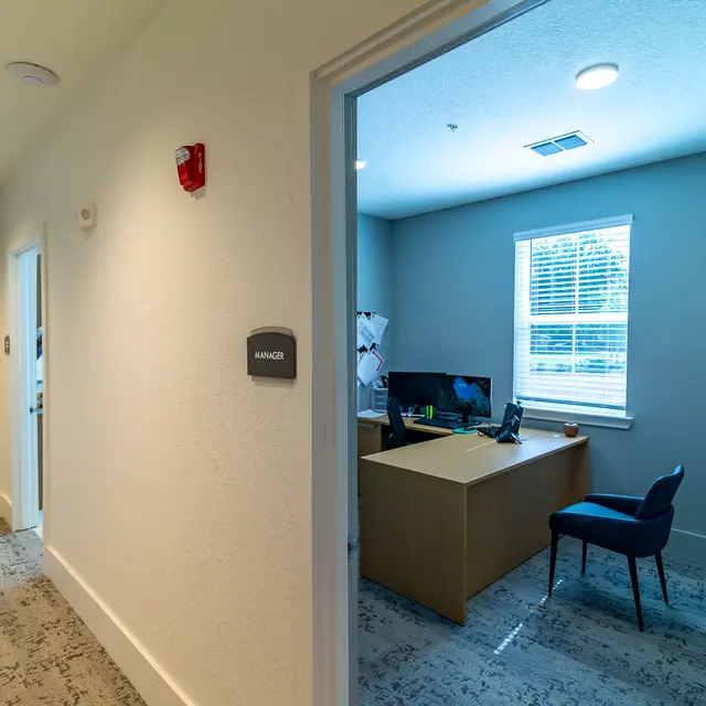 Rochester Park - Floor, Flooring, Furniture