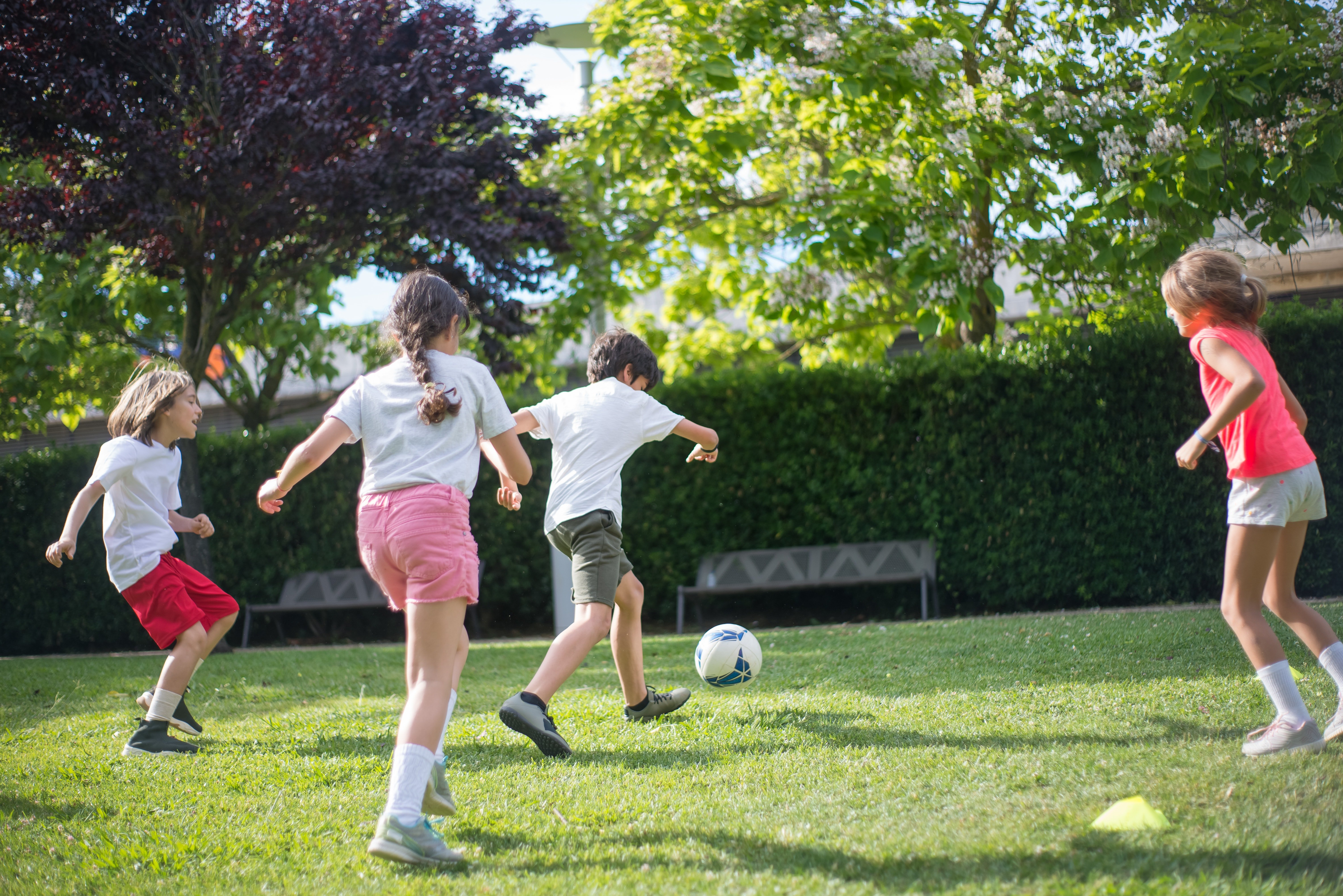 A group of four children playing soccer on a grassy field, with trees and benches in the background.