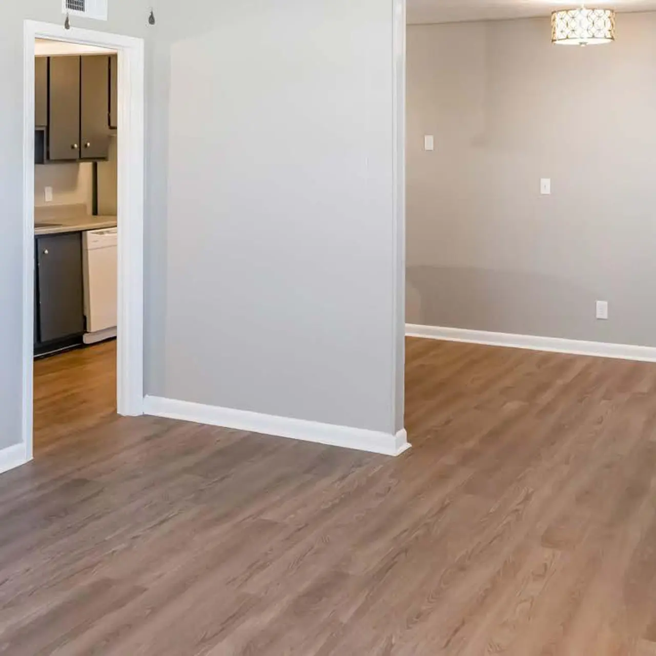 Haltere at Reserve - A spacious, empty living area featuring light wood flooring and gray walls, with an open doorway leading to a kitchen area. A small light fixture hangs from the ceiling, and natural light brightens the room through a window.
