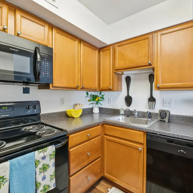 A modern kitchen featuring wooden cabinets, black appliances, a double sink, and a countertop with decorative items.
