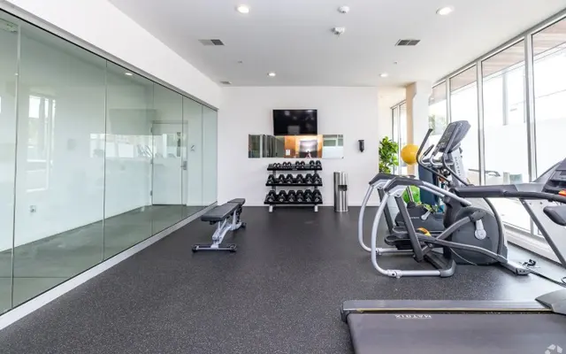 The-Quin (14) (Small).jpg