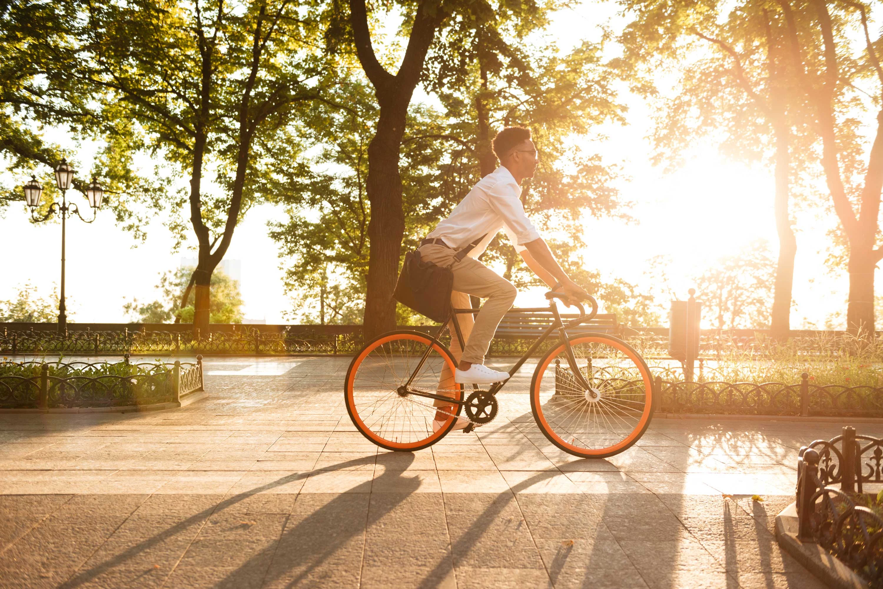 A person riding a bicycle along a path surrounded by trees, illuminated by the warm glow of sunset.