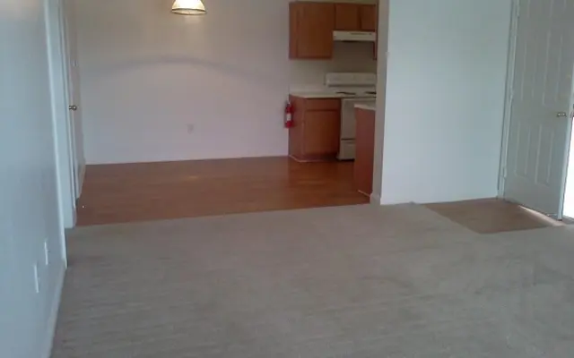 An empty apartment interior featuring a kitchen area and a carpeted living space.