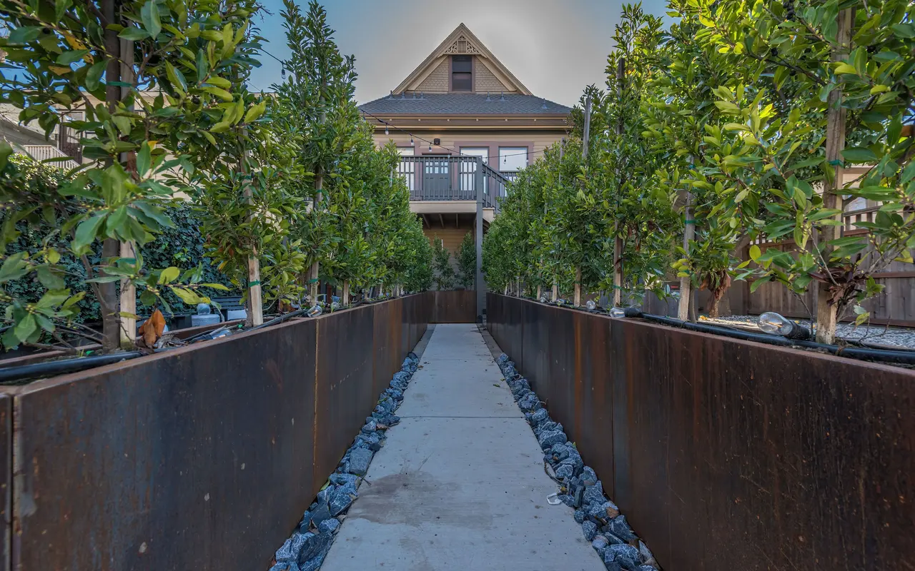 A landscaped pathway lined with trees on both sides, leading to a house in the background.