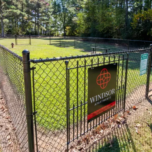 Windsor Apartments - Backyard, Nature, Outdoors
