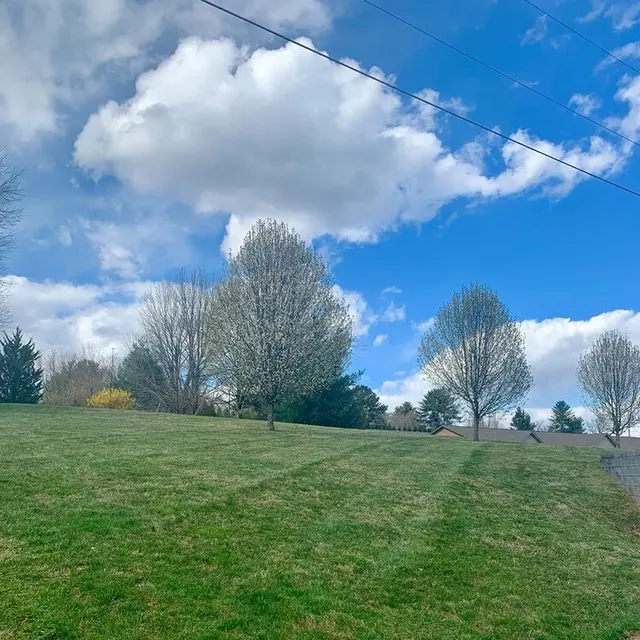 Summer Chase - Ground, Nature, Outdoors