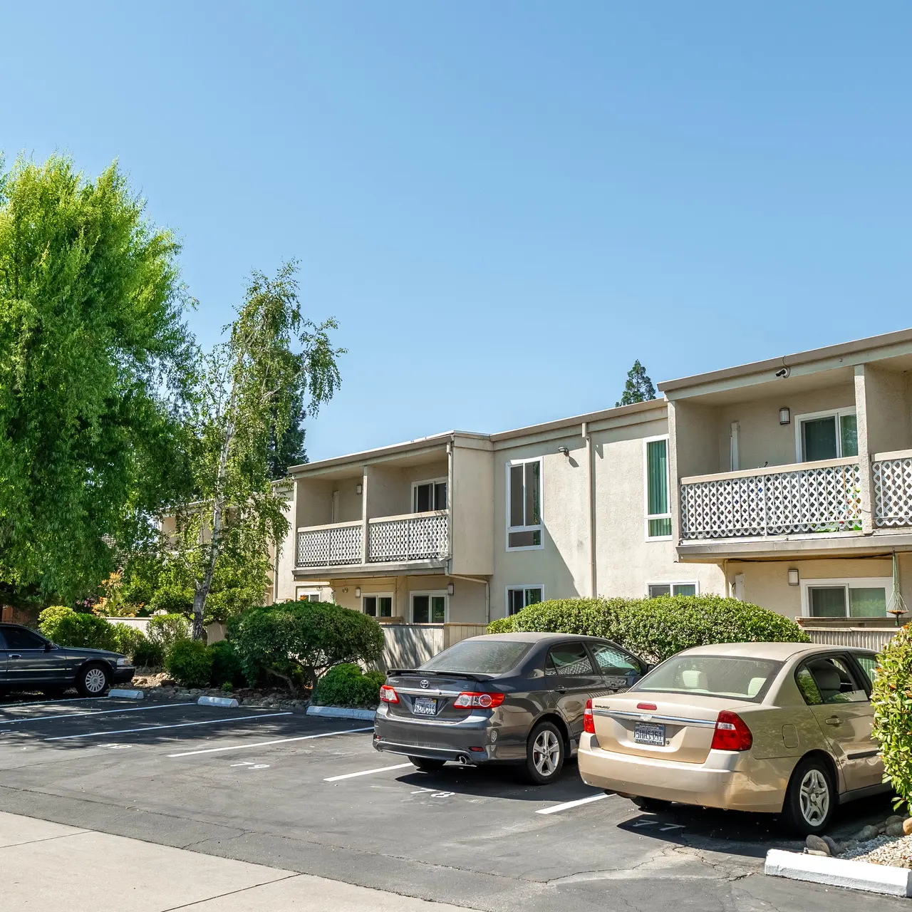 Del Dayo - Neighborhood, Suburb, Lamp