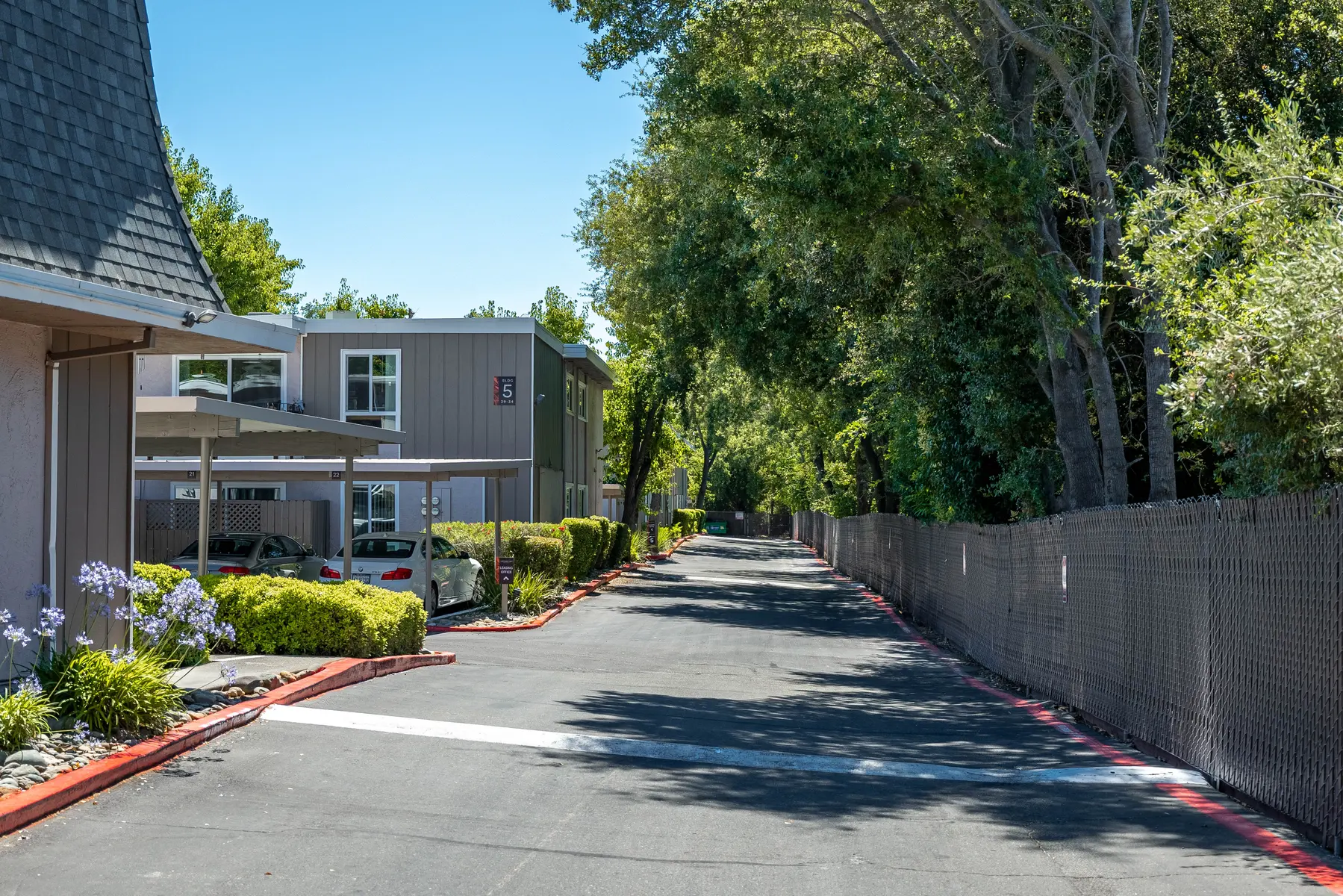 Creekside Oaks - City, Street, Urban