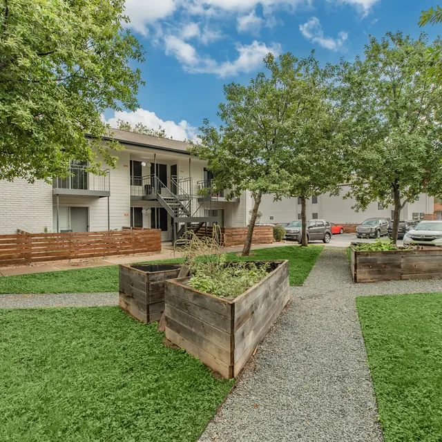 Artisan at South Lamar Courtyard in front of apartment buildings and parking lot at Artisan at South Lamar with boxed gardens, grass, tree's and walkway.
