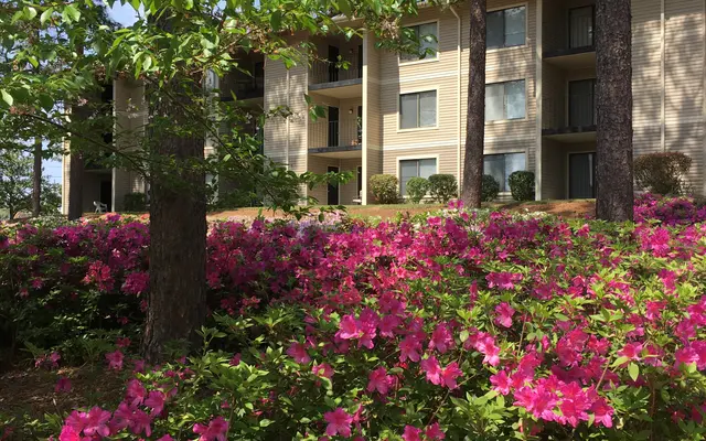 Lake Claire Apartments - Plant