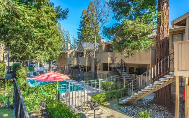 Donner at Fair Oaks - Neighborhood, City, Tree