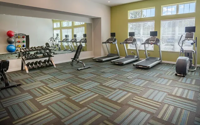 A well-lit gym with treadmills, ellipticals, a weight rack, exercise balls, and a mirror, with windows overlooking greenery.