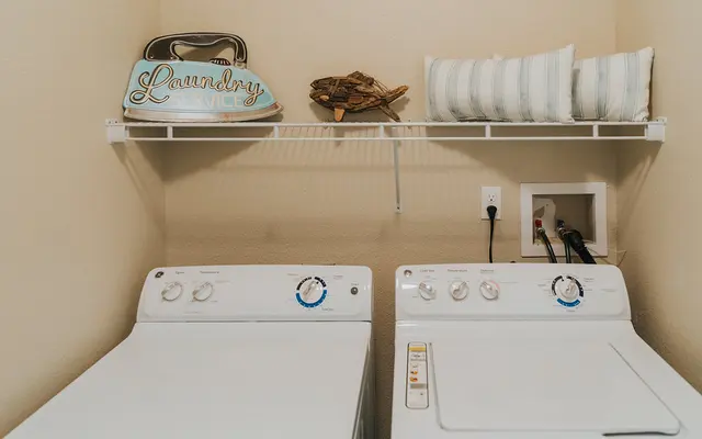 Cameron Isles - Turtle