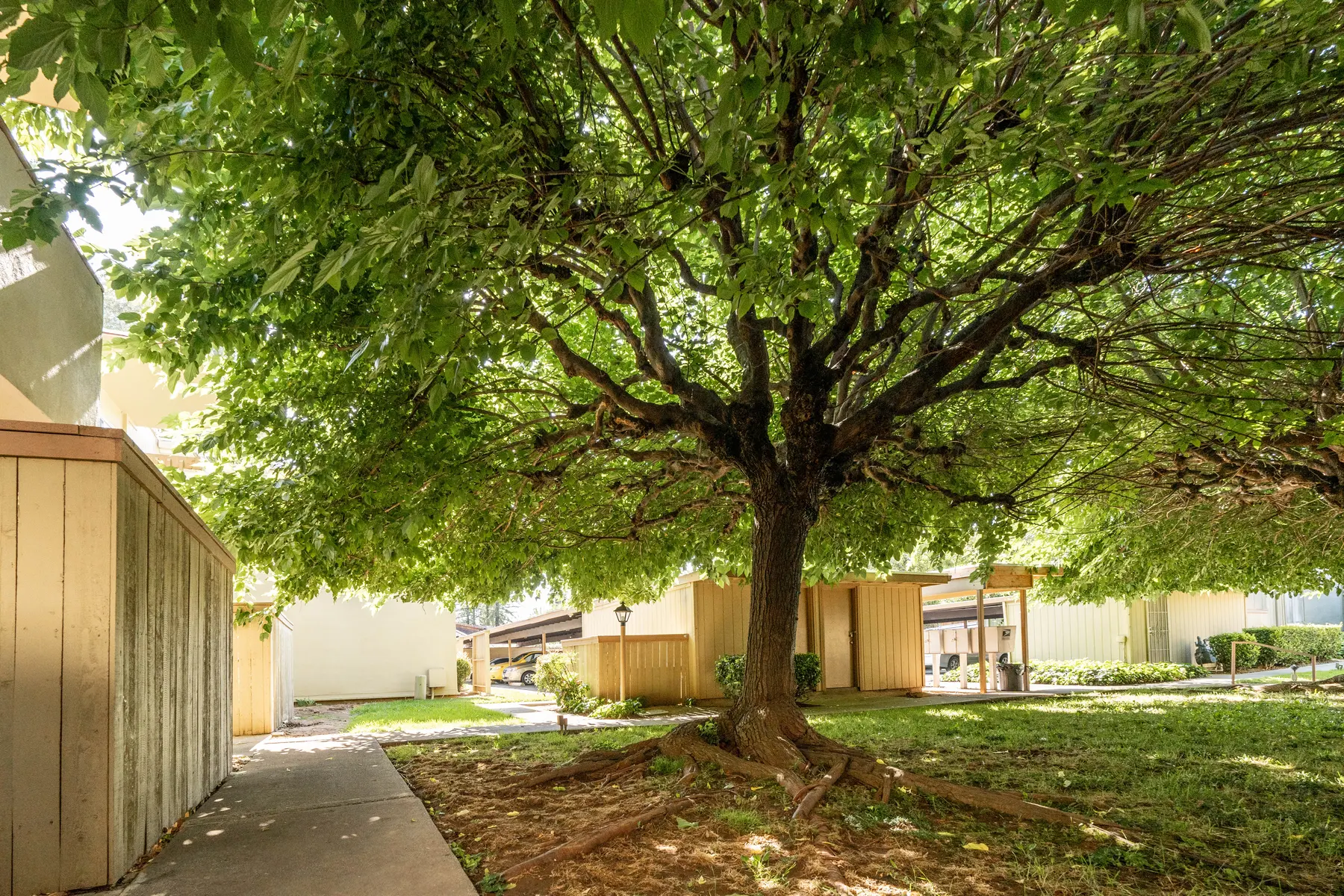 Crestview North - City, Street, Urban