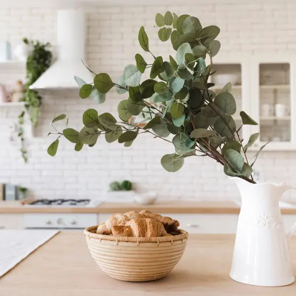 Living Apple - Plant, Potted Plant