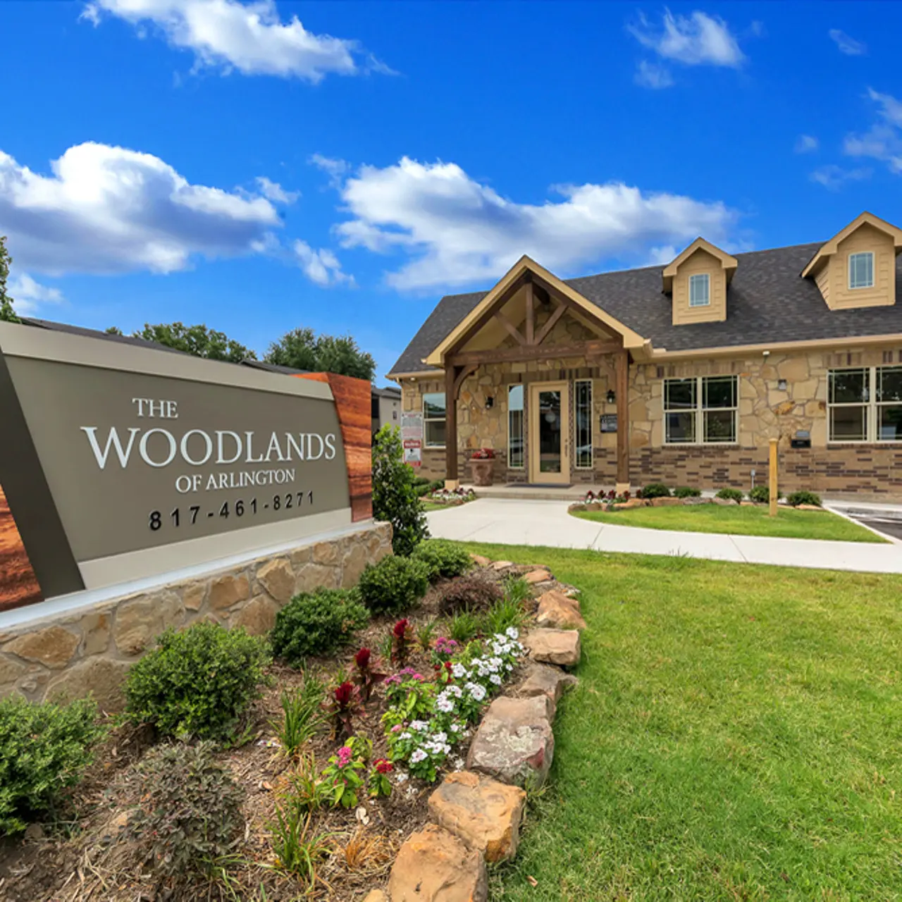 Grass, Plant, Outdoors