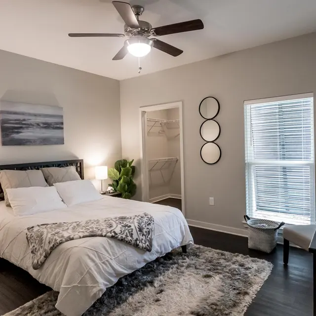 Belforest Apartments - Room, Home Decor, Appliance