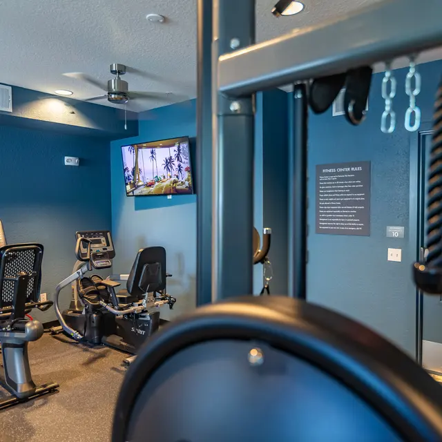 Rochester Park - Ceiling Fan, Fitness, Working Out