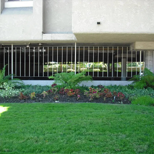 Yorktown Apartments - Grass, Plant, Backyard