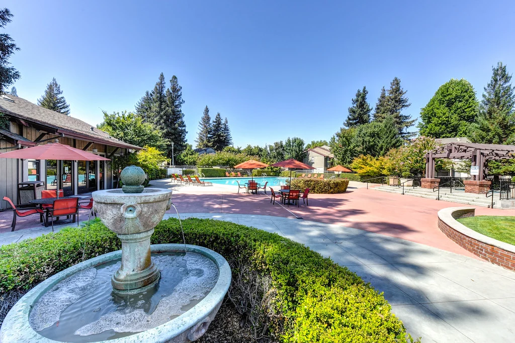 Laurel Oaks - Fir, Plant