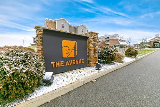 The Avenue at Nicholasville - Bush, Vegetation, Building