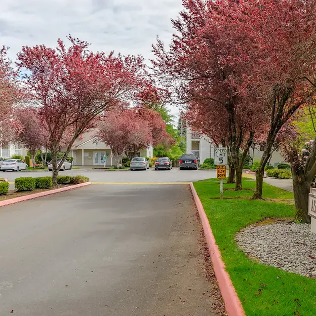 A scenic view showcasing a residential complex with a winding road lined with flowering trees in vibrant pink hues, leading towards parked cars and several buildings in the background.