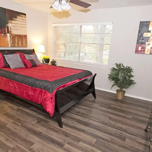 Adelita Townhomes - Interior Design, Indoors, Plant