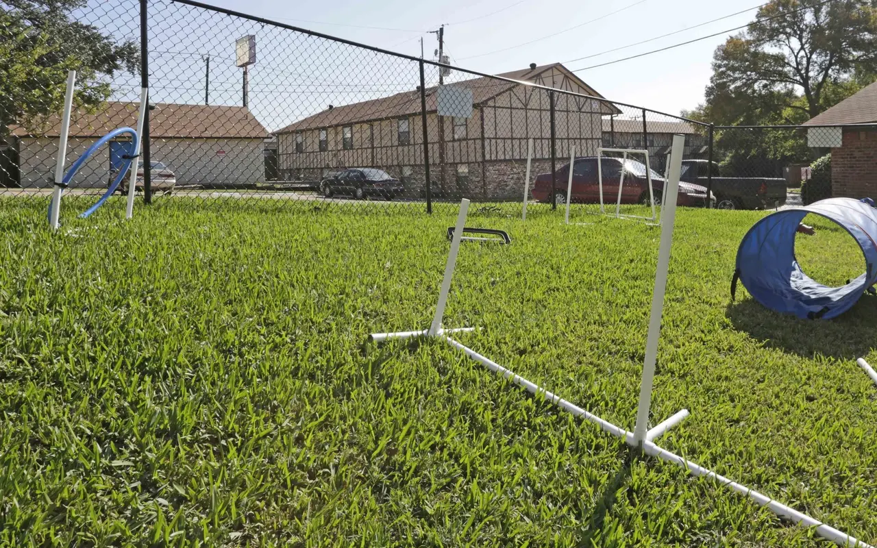 Knoll Creek - Grass, Lawn, Backyard