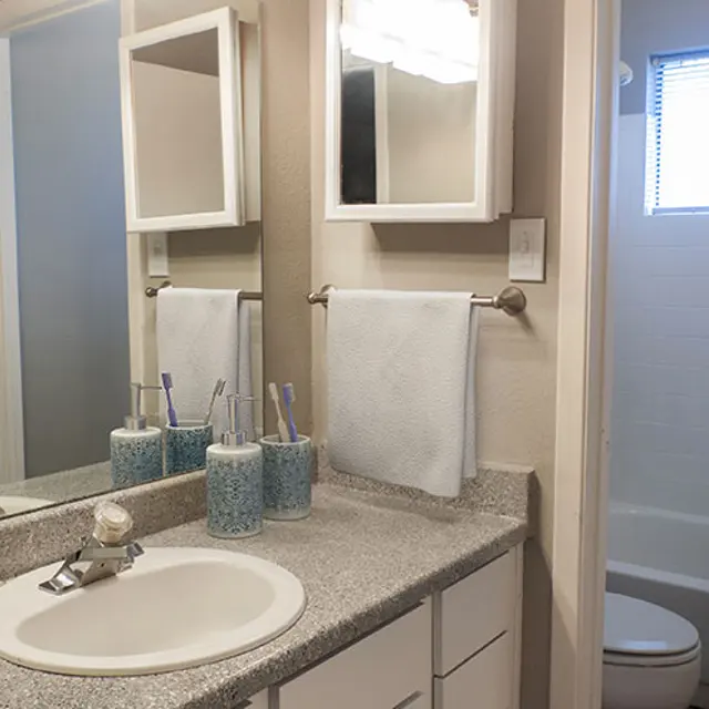 The Camaron - Room, Sink