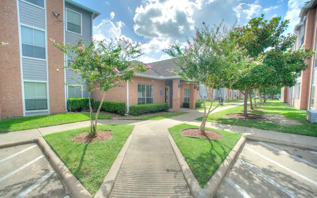 Plaza de Magnolia - Lawn