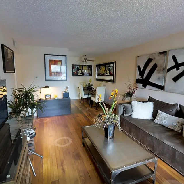 1Bed 1 Bath 625sqft Virtual Tour - Starburst Apartments