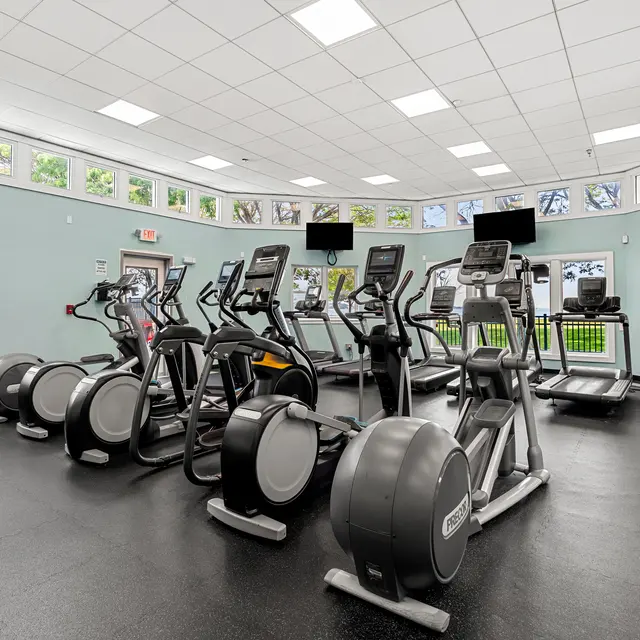Interior view of a fitness gym featuring various cardio machines, including ellipticals and treadmills, with large windows allowing natural light to enter.
