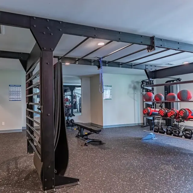 An interior view of a home gym featuring a functional training rig with TRX straps, various weights, medicine balls on a rack, a punching bag, and a workout bench.