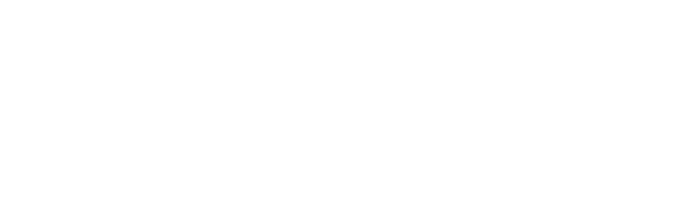 Towne Lake Apartments Logo Logo for Towne Lake Apartments in bold white letters.