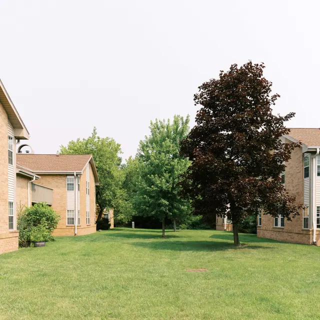 A view of two apartment buildings separated by a grassy area and a single tree.