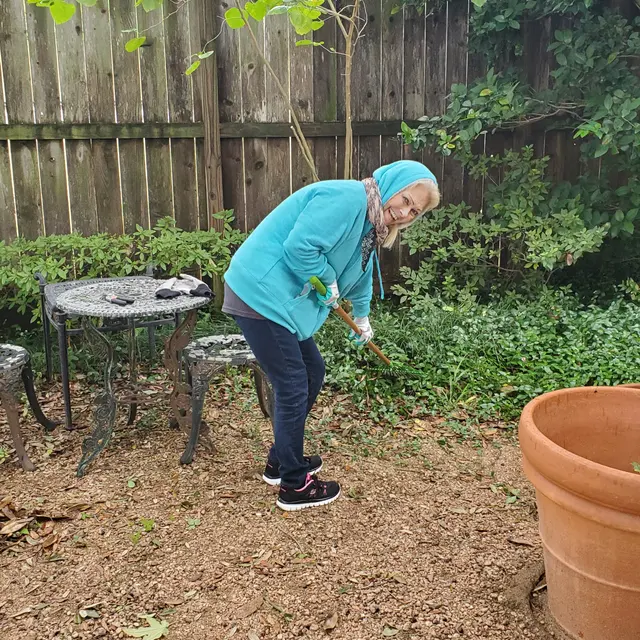 Dinerstein Dinerstein