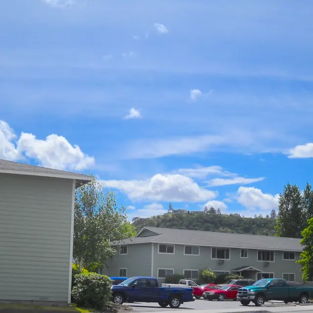 Urban Asset Advisors - Car, Tree, Plant