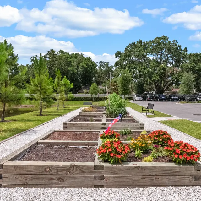 Burlington Cove - Grass, Nature, Outdoors